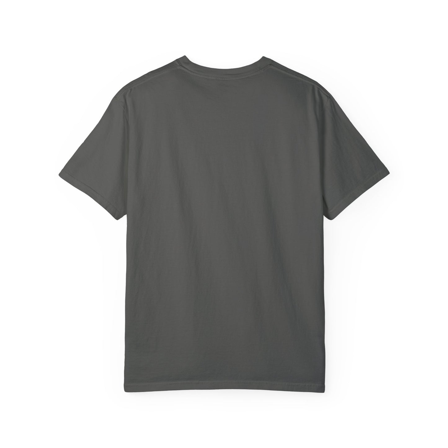 Funny AI 2025 FAFO Skynet Division T-shirt