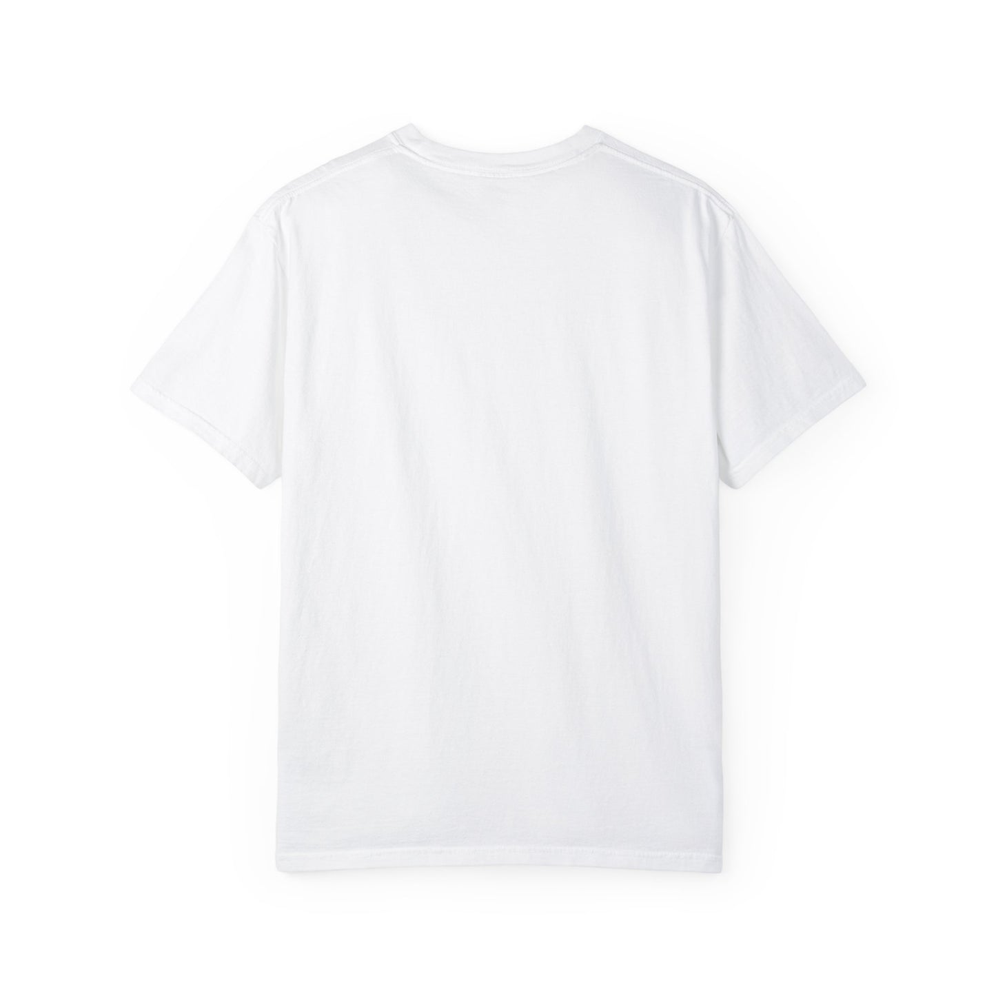 Funny AI 2025 FAFO Skynet Division T-shirt