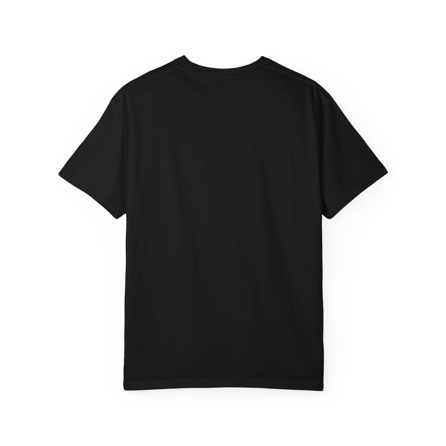 Noah's Ark Black Unisex T-shirt, Animal Lover Tee, Religious Graphic Shirt, Gift for Him or Her, Biblical Clothing