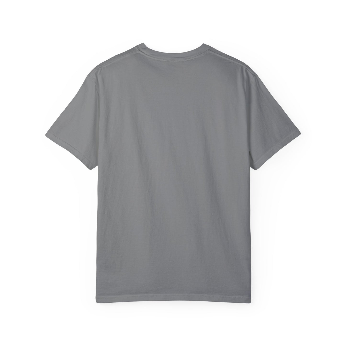 Funny AI 2025 FAFO Skynet Division T-shirt